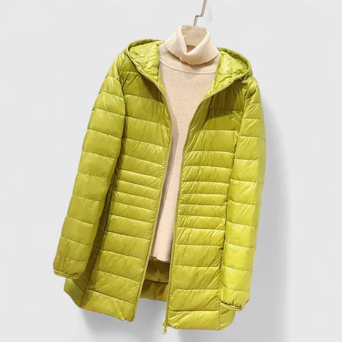 Averlyss | Sophisticated Coat